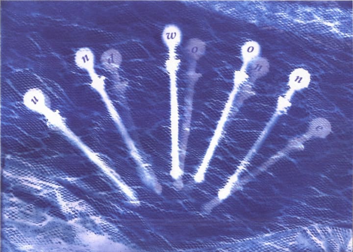 Unwon And Done (cyanotype overlay, 2025)